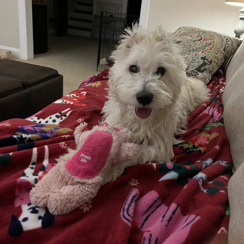 Winston photo 5