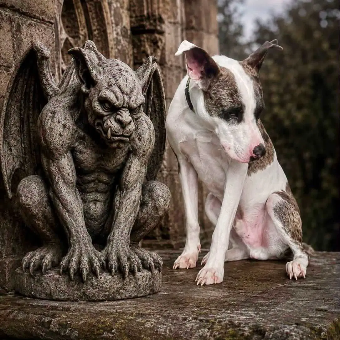 Gargoyle image 3