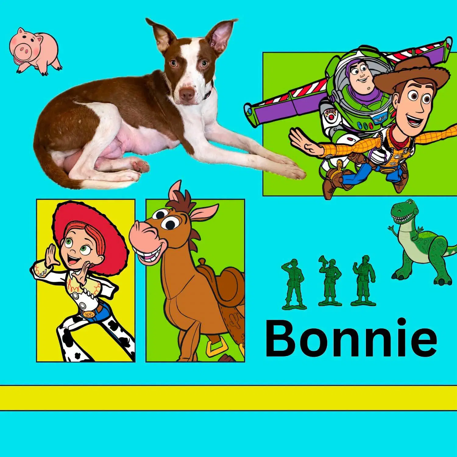 Bonnie image 1