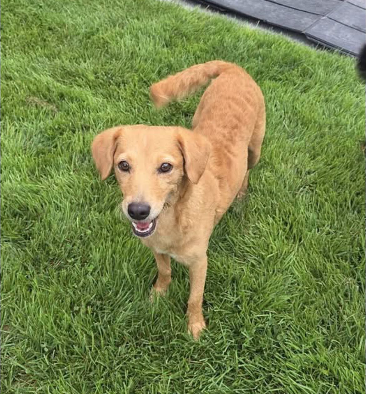Winnie