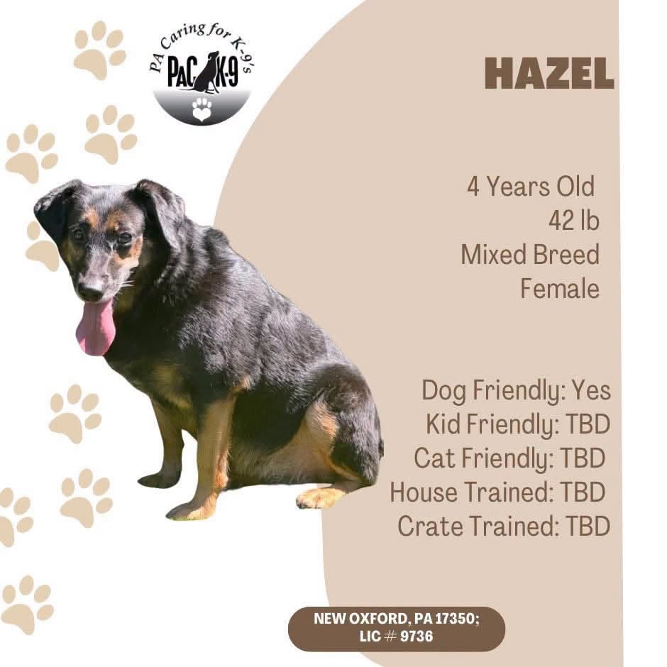 Hazel