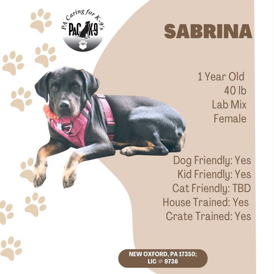 Sabrina