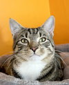 Donn - Photo 3