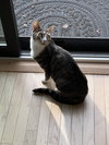 Skyanna - Photo 3