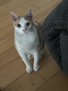 Rubio - Photo 4