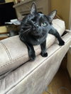 Edgar - Photo 1