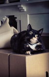 Bridget aka Minou - Photo 3