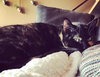 Bridget aka Minou - Photo 4
