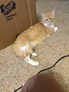 Montgomery - Photo 2