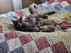 Leela - Photo 2