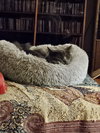 Leela - Photo 3