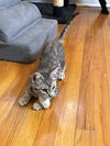 Spice - Photo 4