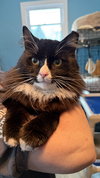Reggie - Photo 3