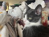 Bonnie aka Bonnie Blue Butler - Photo 2