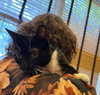 Rita- SPECIAL NEEDS - Photo 3