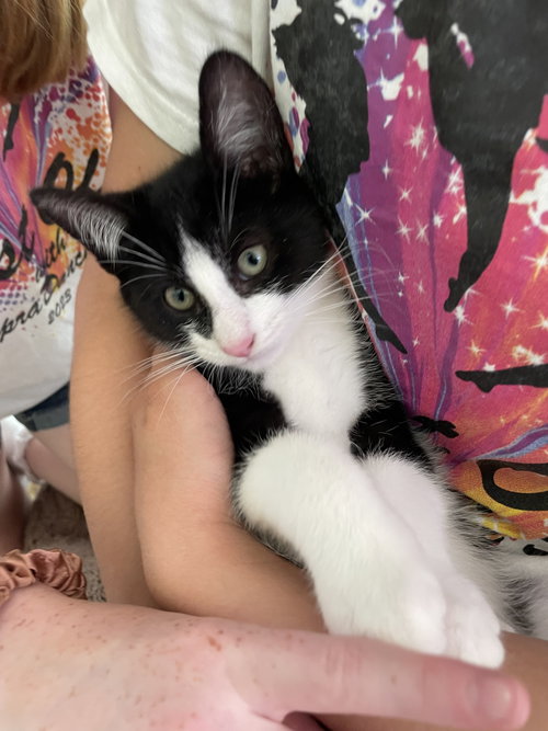 Pablo