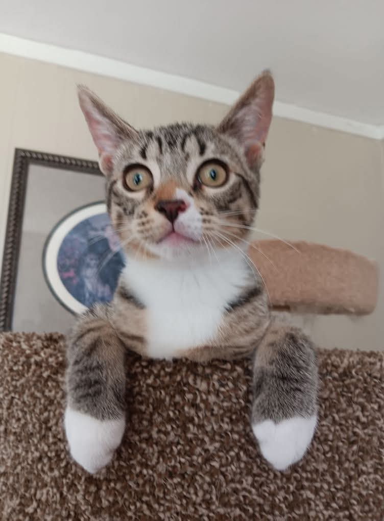 Sid