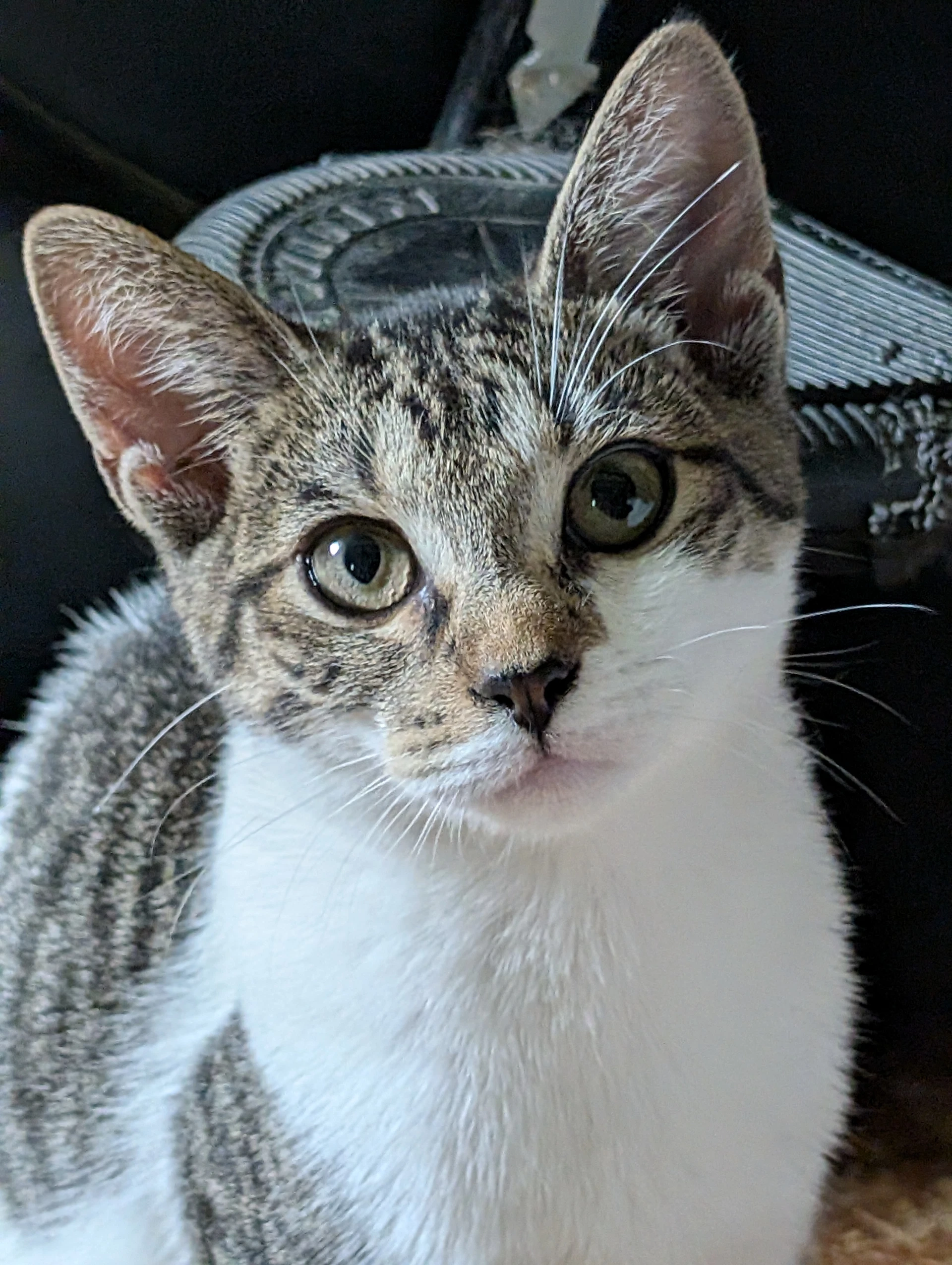 Tiny Tina