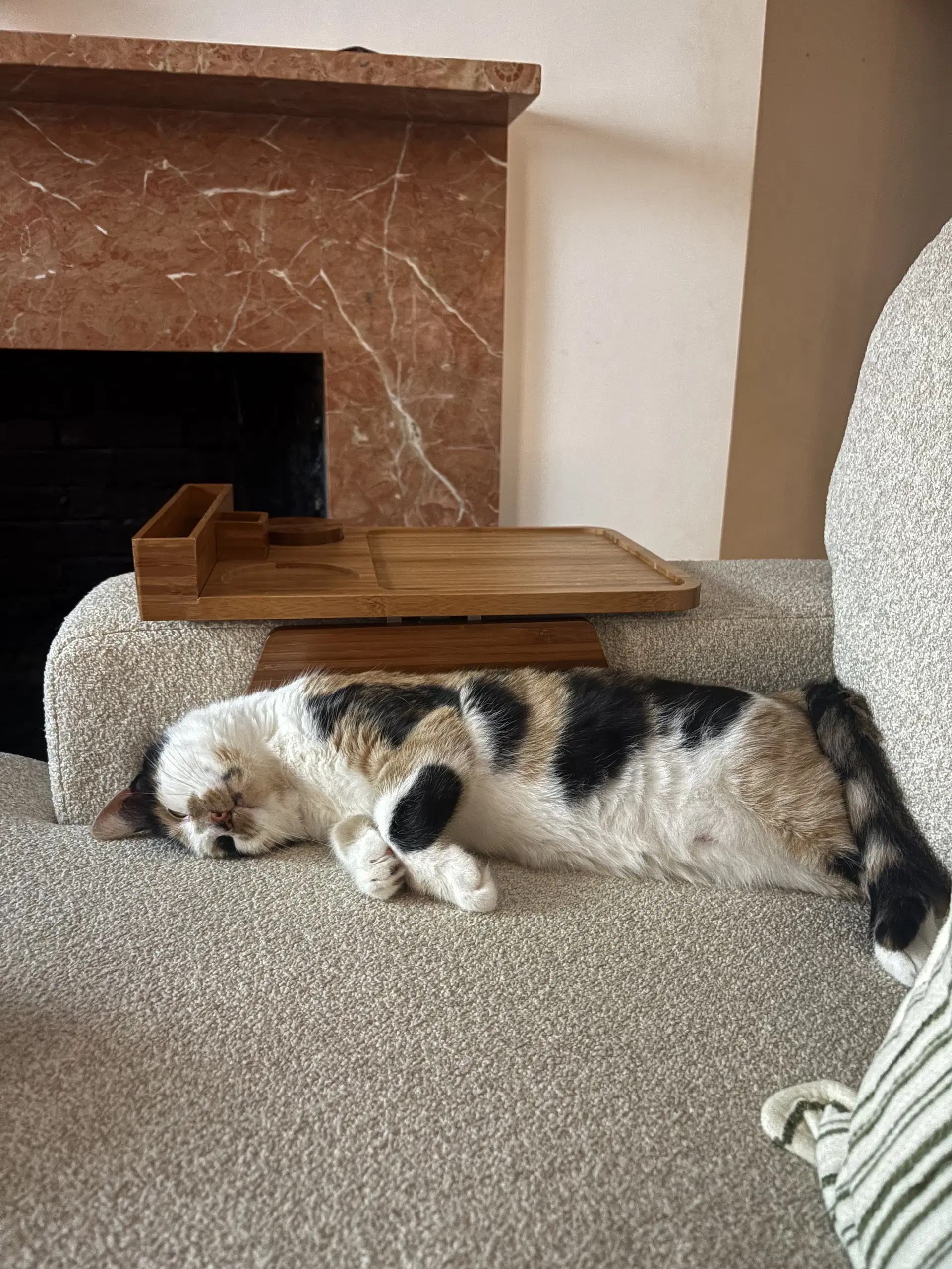 Flavia image 2