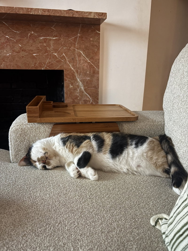 Flavia, photo 2