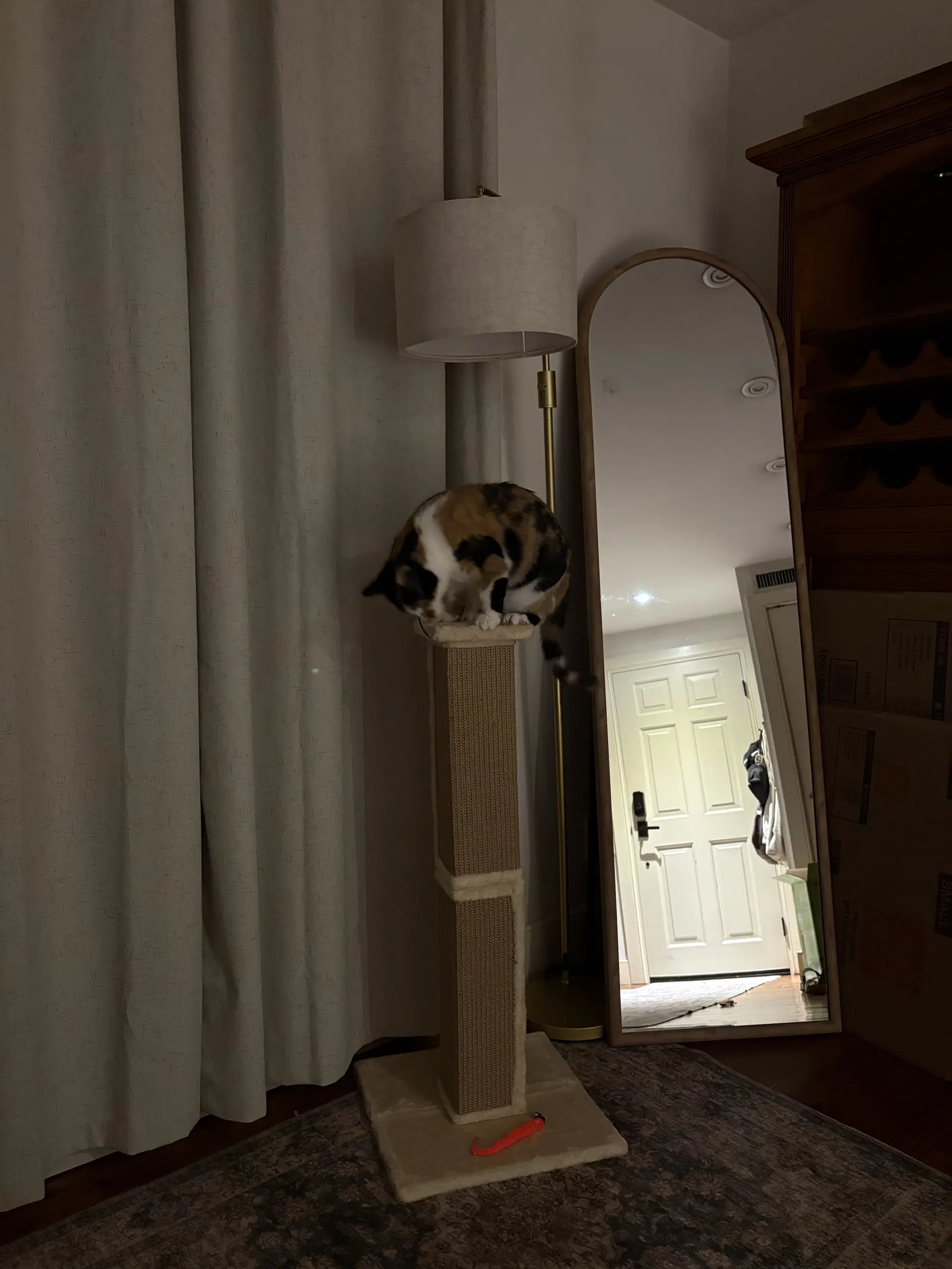 Flavia image 3