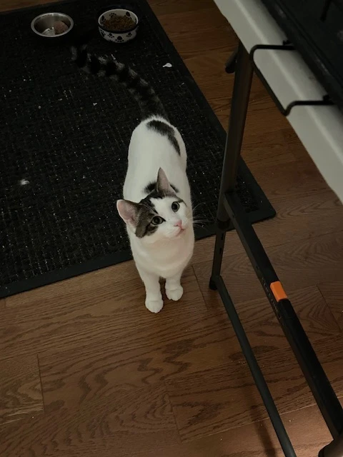 Luna