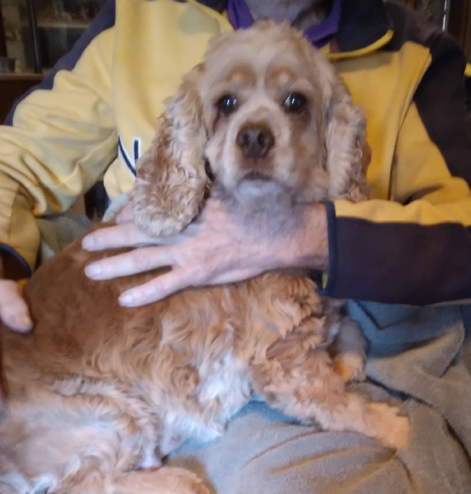 Daisy