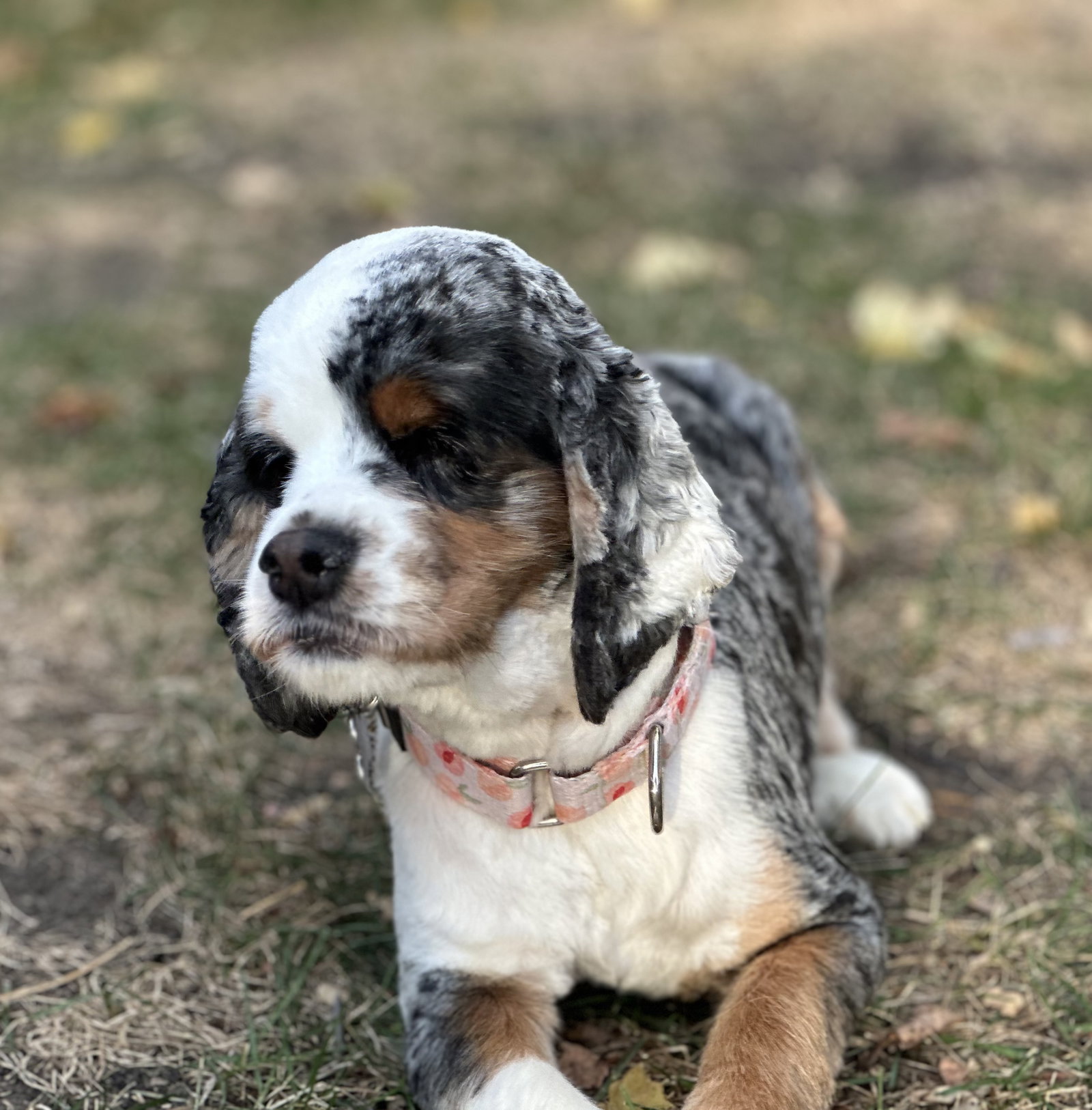 Annie