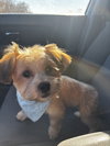Mason