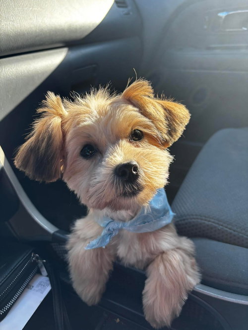 Mason