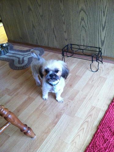 Lola