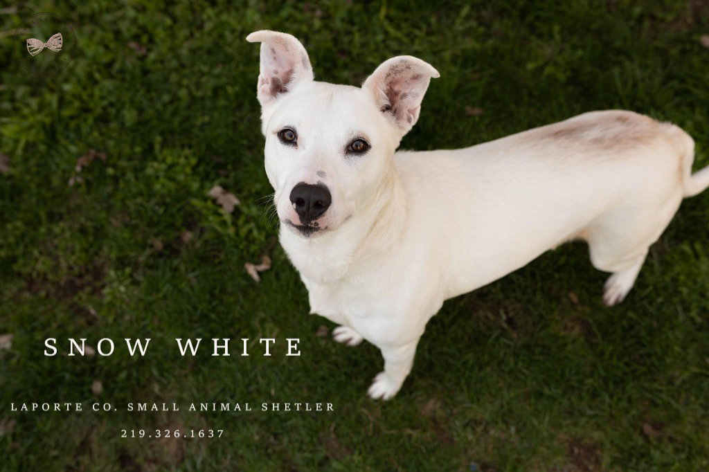 Snow White