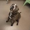 Earl - Photo 2