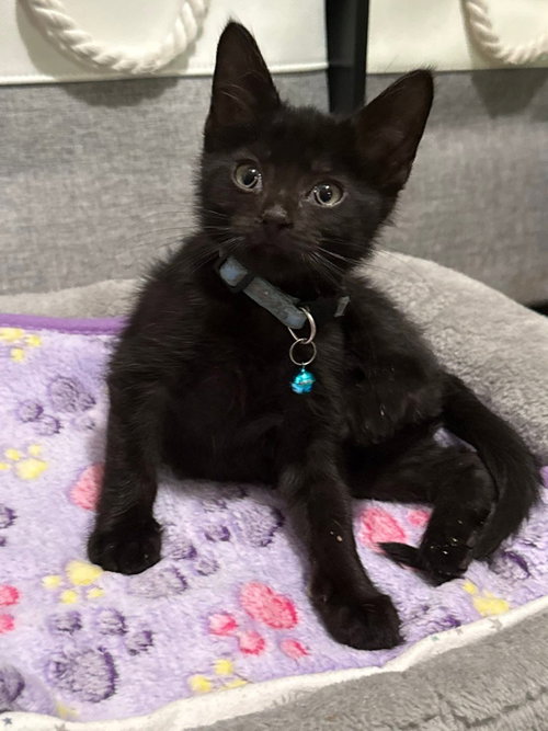 Sam