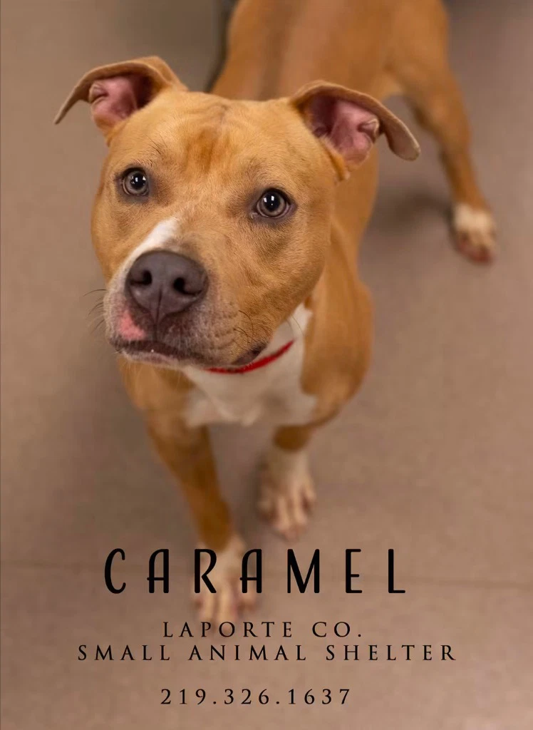 Caramel
