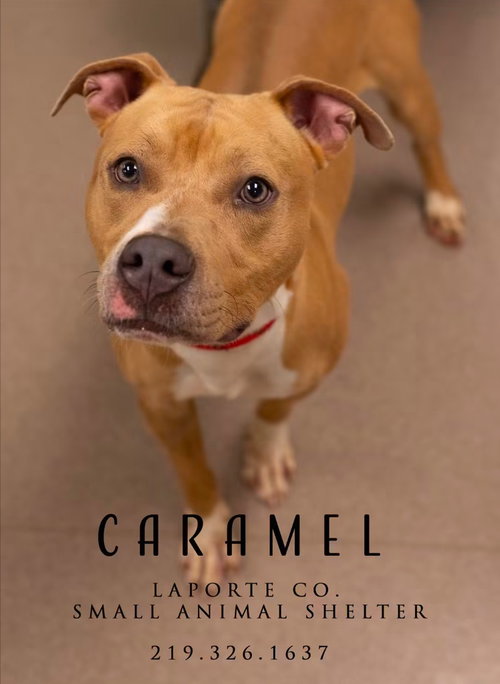Caramel