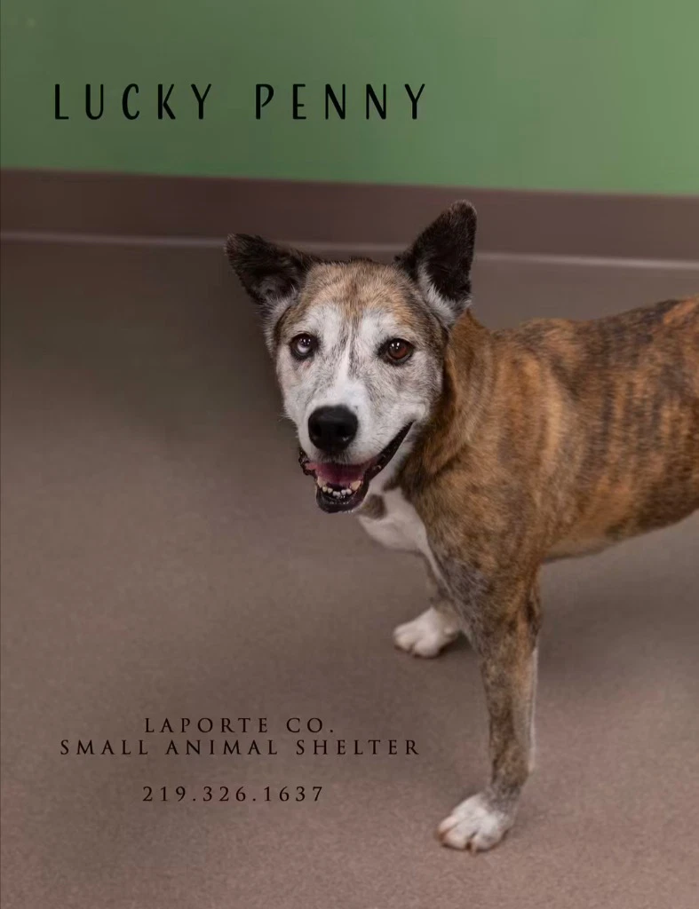 Lucky Penny