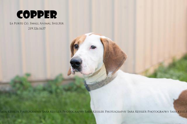 Copper