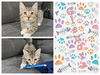 adoptable Cat in , IA named GLENORA