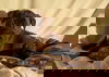 Sage female staffordshire mix puppy