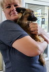 Sissy a 5 month old Pomchi puppy