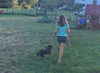 Kirby, A Dachshund male