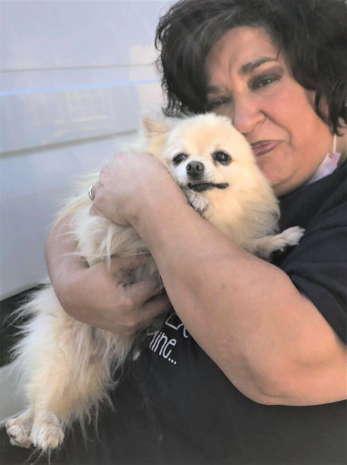 Toby and Chia Pomeranian Duo