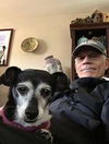 Topsy (now Toby) senior dachshund
