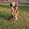 Pimienta a Dachshund-Terrier mix puppy