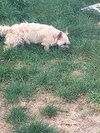 Kenzie and Sofie a Binded Mom and daughter pair - Photo 3