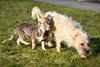 Kenzie and Sofie a Binded Mom and daughter pair - Photo 5
