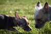 Kenzie and Sofie a Binded Mom and daughter pair - Photo 7