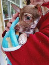 Kenzie and Sofie a Binded Mom and daughter pair - Photo 11