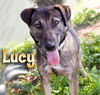 LUCY